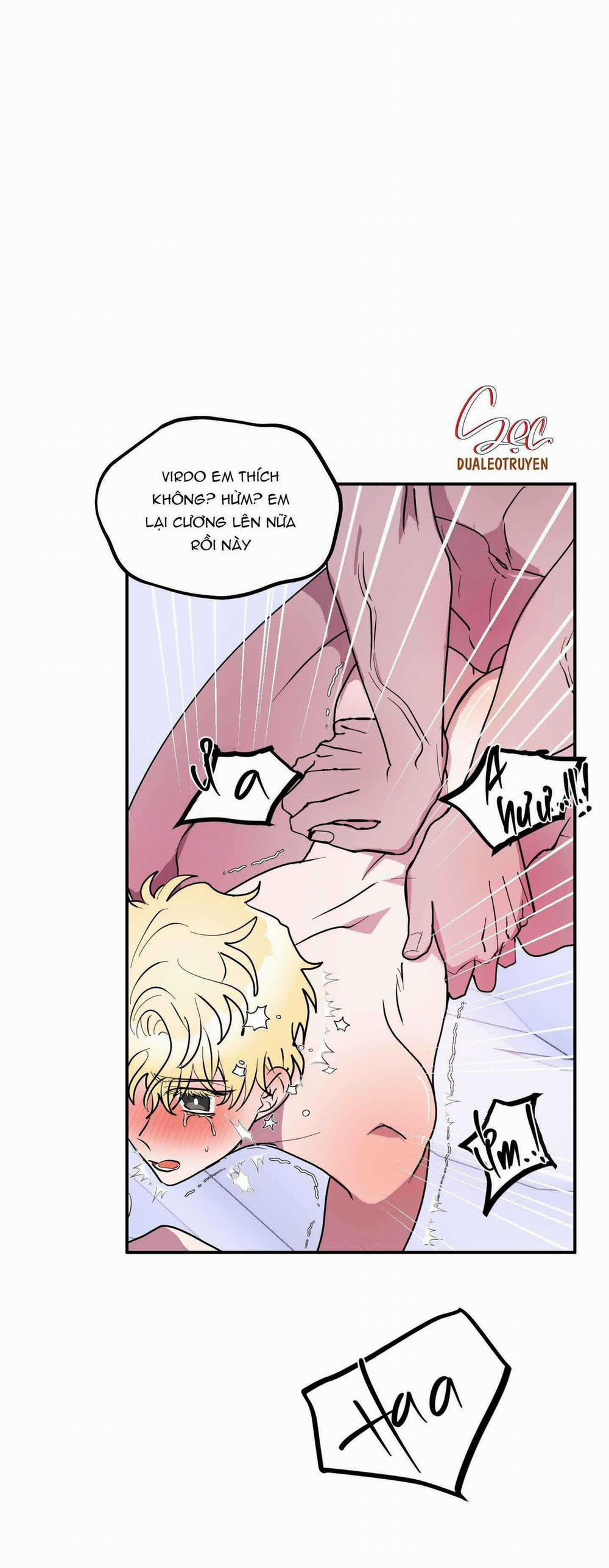 CÁ MẬP VÀ CÔ DÂU THỎ 44 trang 23