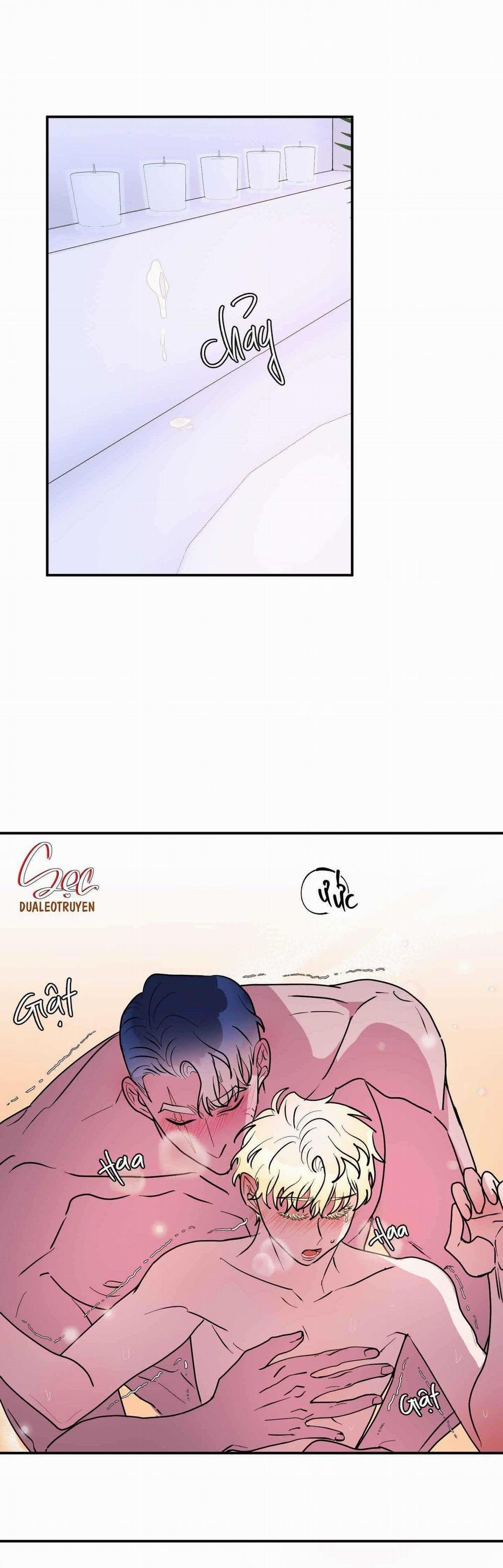 CÁ MẬP VÀ CÔ DÂU THỎ 44 trang 26