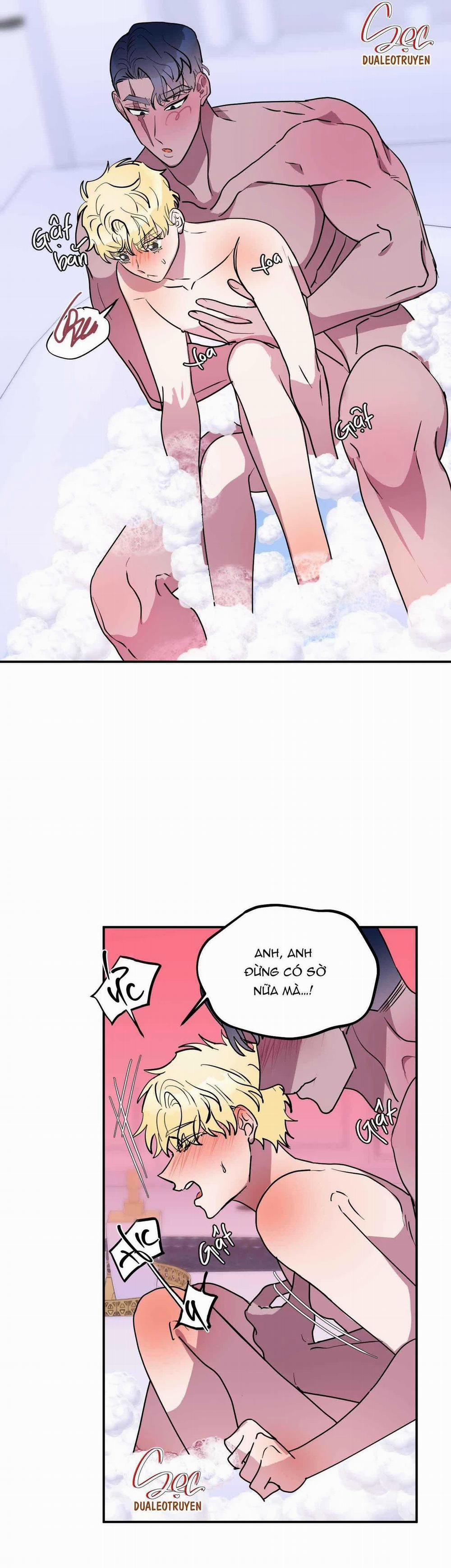 CÁ MẬP VÀ CÔ DÂU THỎ 44 trang 3