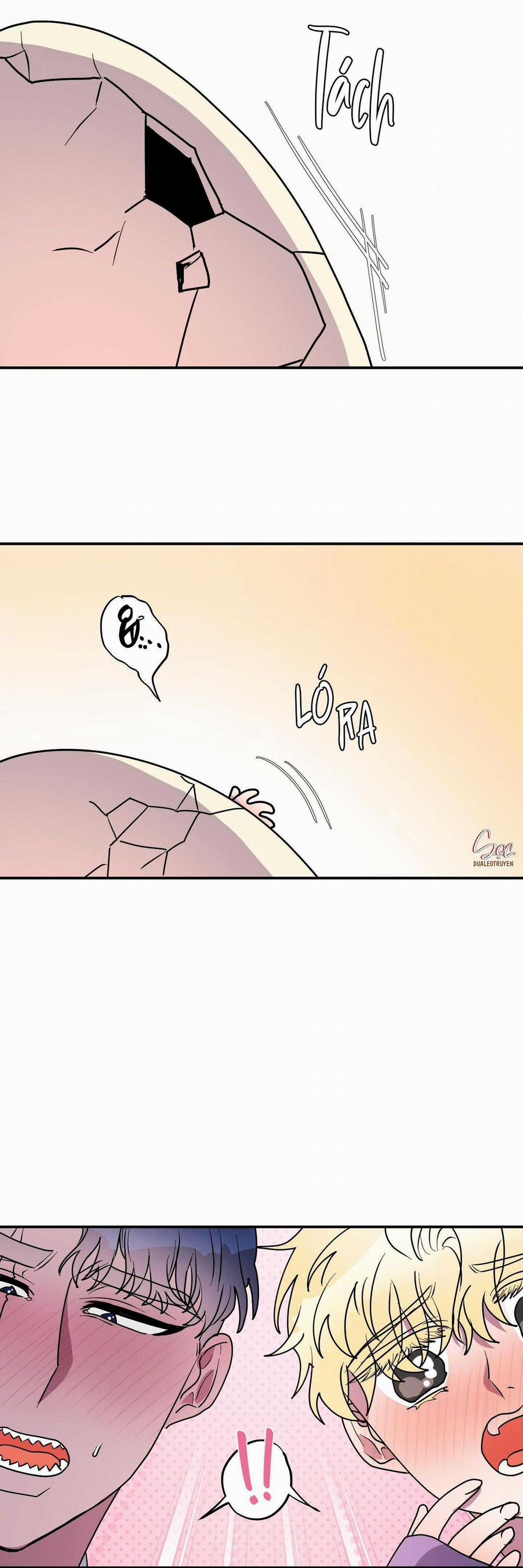 CÁ MẬP VÀ CÔ DÂU THỎ 45 trang 1