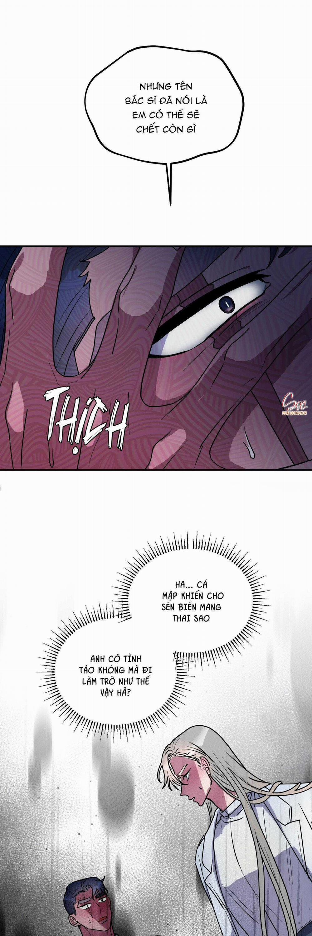 CÁ MẬP VÀ CÔ DÂU THỎ 45 trang 29