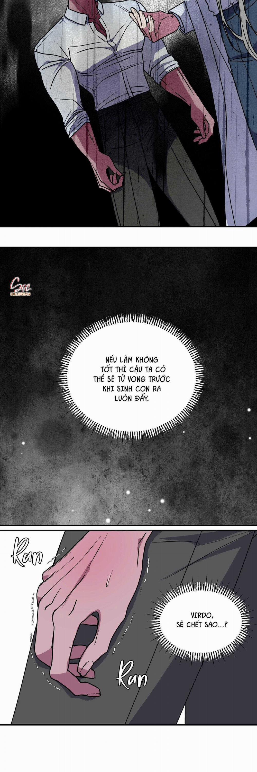 CÁ MẬP VÀ CÔ DÂU THỎ 45 trang 30