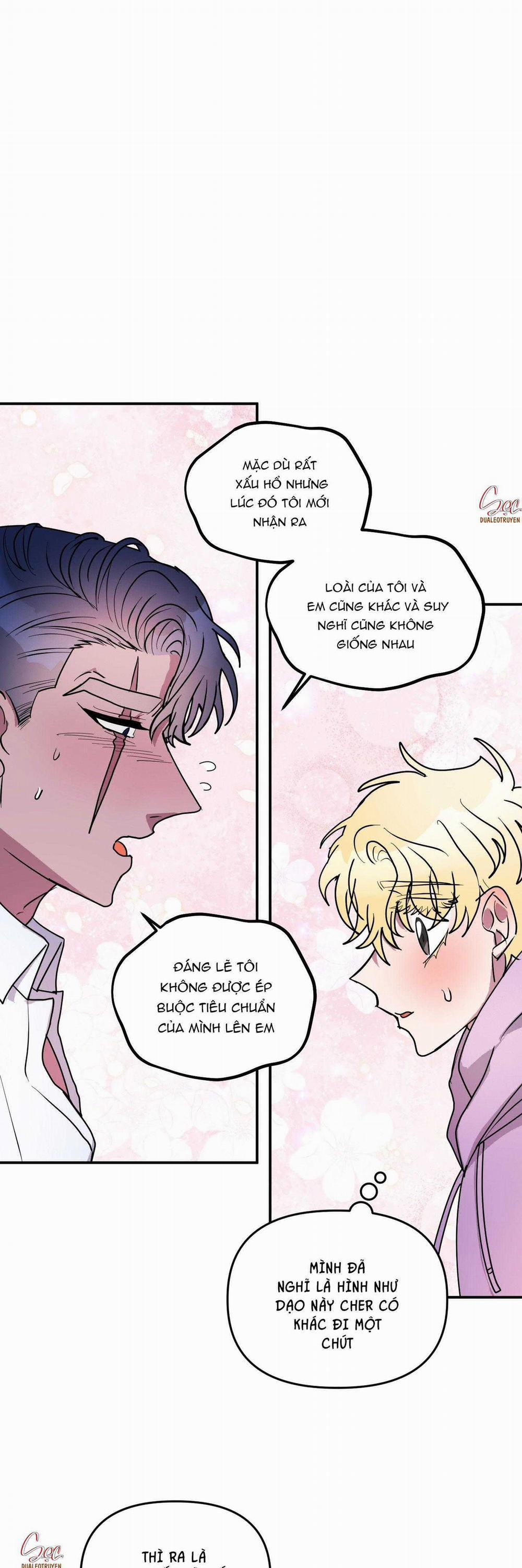 CÁ MẬP VÀ CÔ DÂU THỎ 45 trang 31