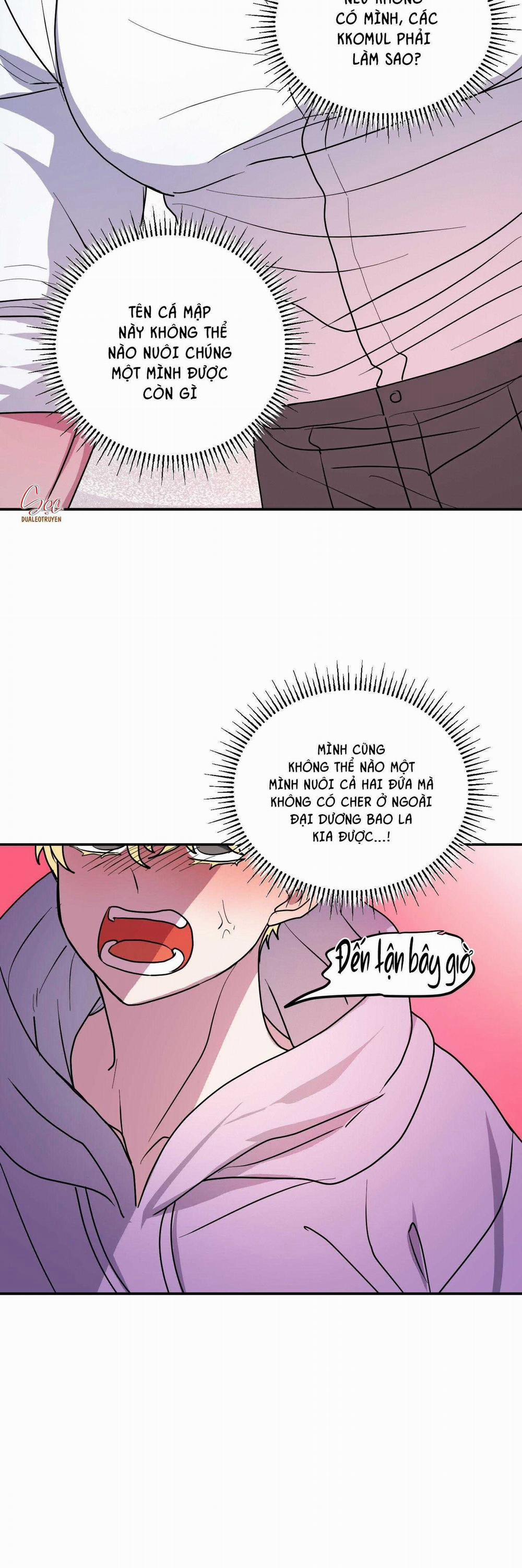 CÁ MẬP VÀ CÔ DÂU THỎ 45 trang 37