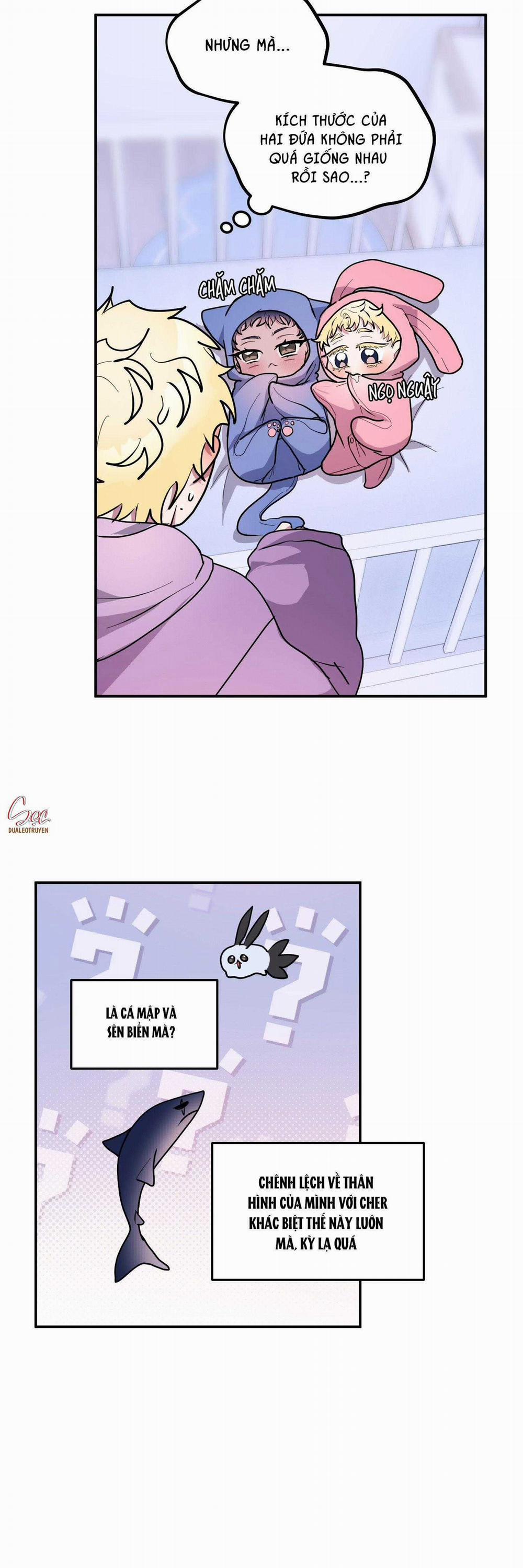 CÁ MẬP VÀ CÔ DÂU THỎ 45 trang 8