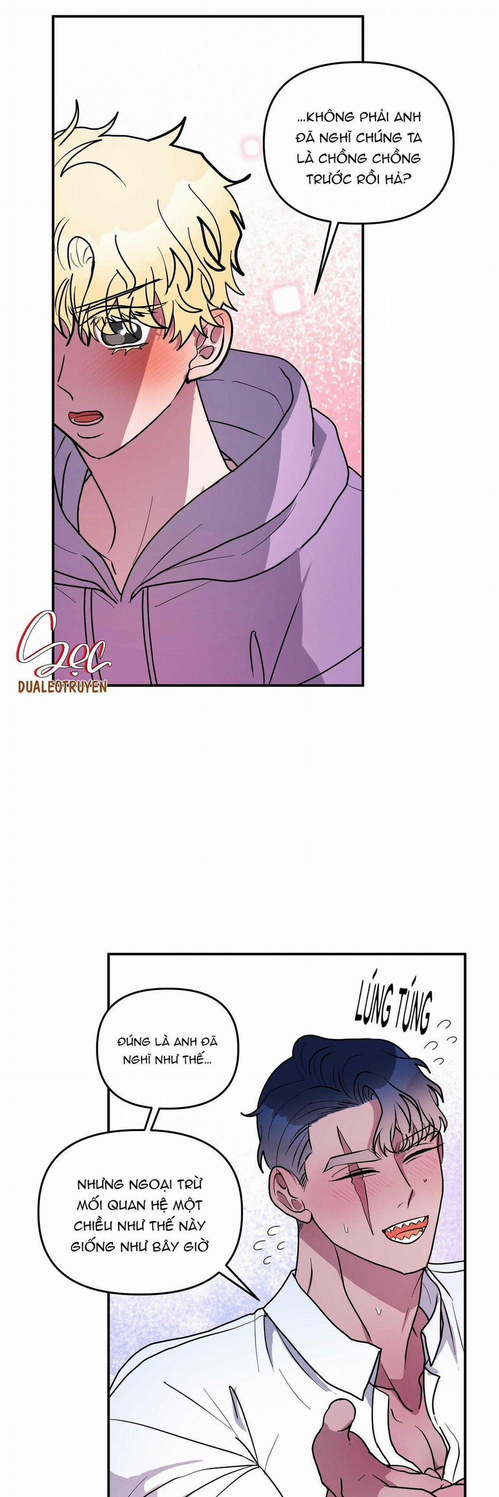 CÁ MẬP VÀ CÔ DÂU THỎ 46 trang 1