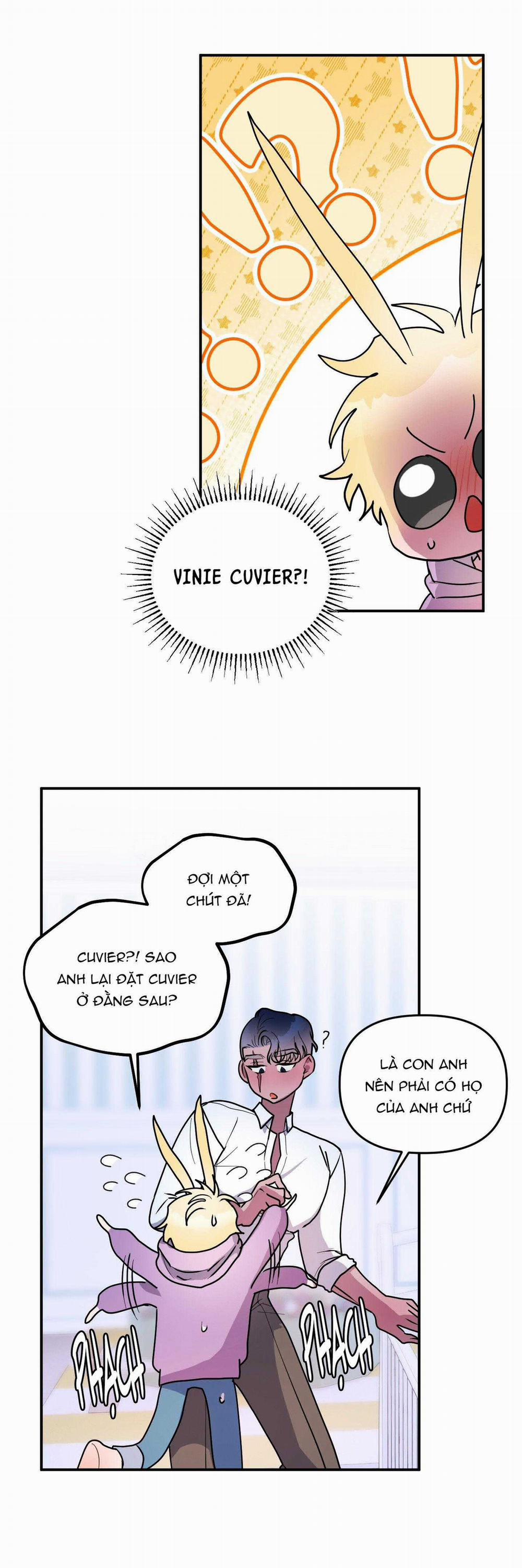 CÁ MẬP VÀ CÔ DÂU THỎ 46 trang 18