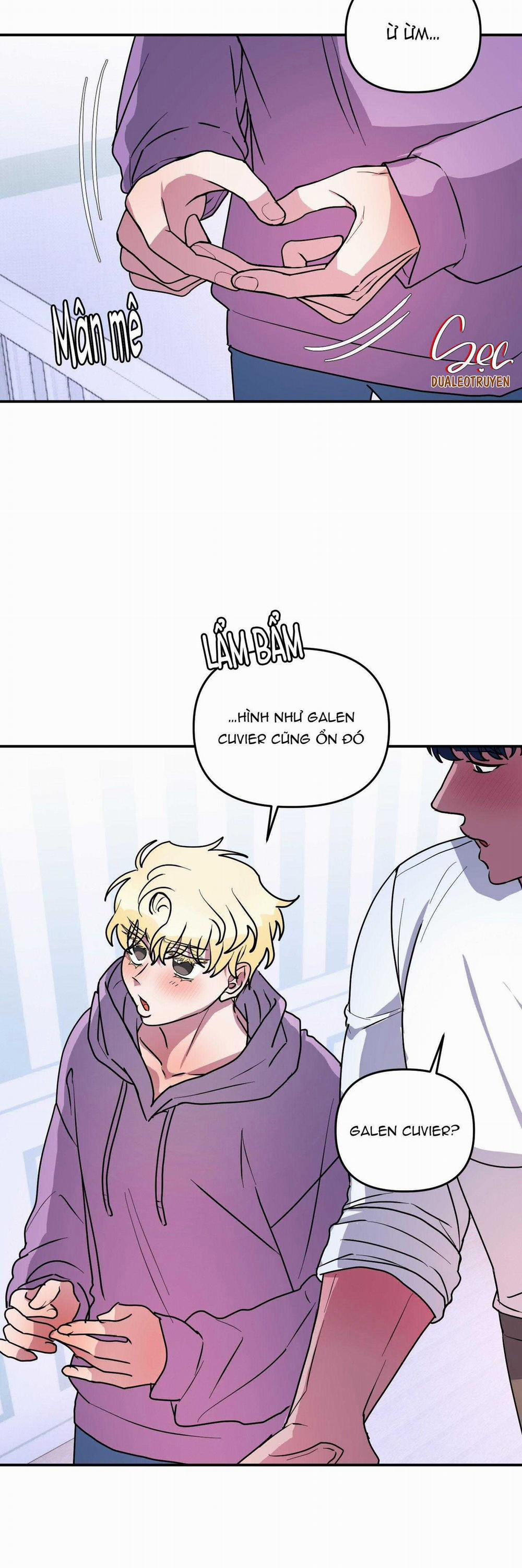 CÁ MẬP VÀ CÔ DÂU THỎ 46 trang 27