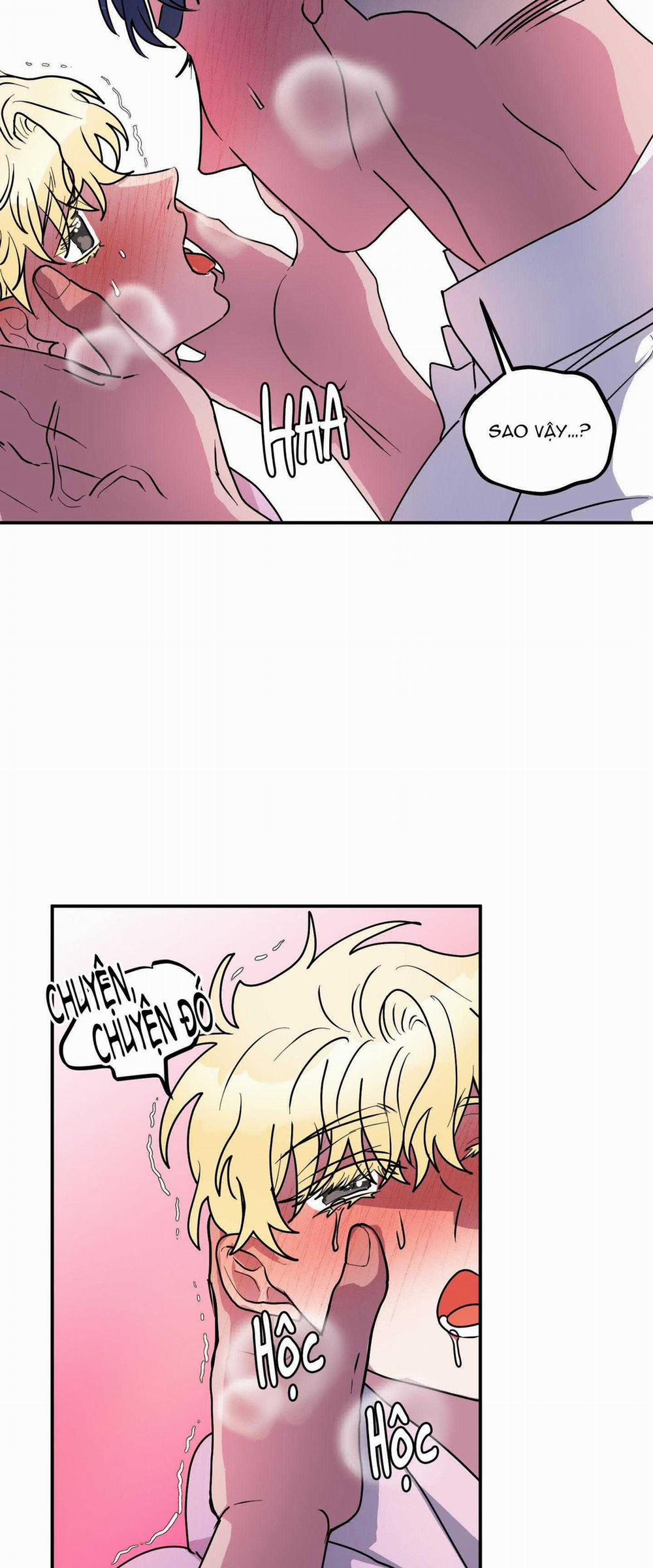 CÁ MẬP VÀ CÔ DÂU THỎ 46 trang 36