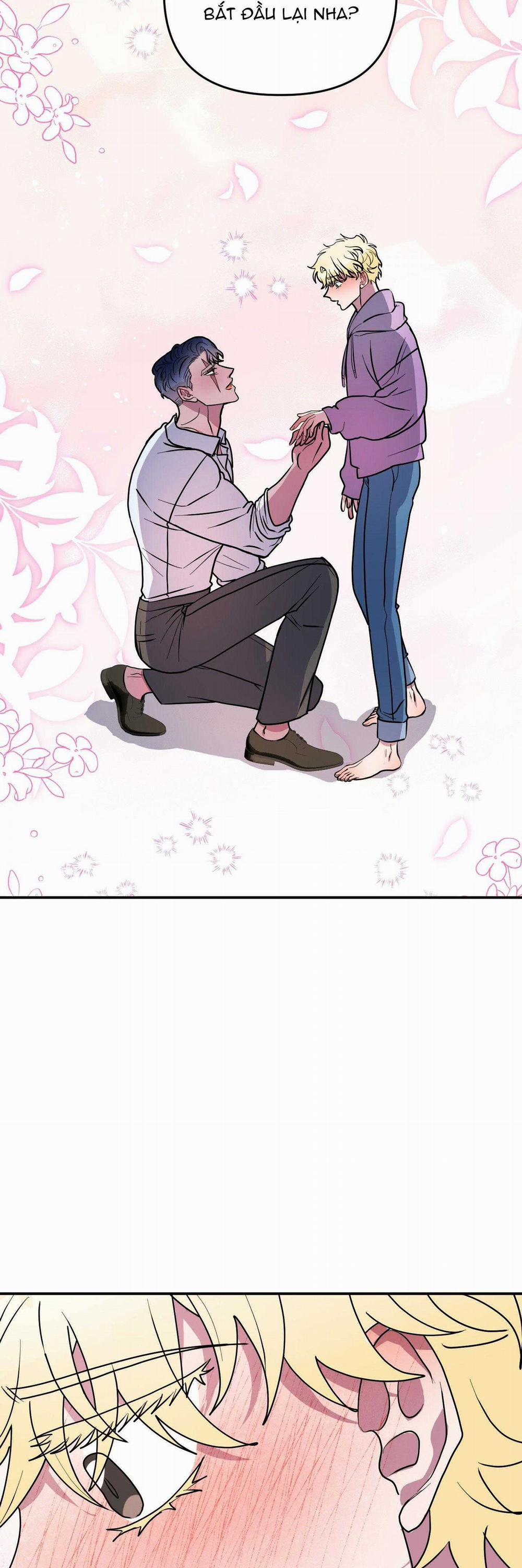 CÁ MẬP VÀ CÔ DÂU THỎ 46 trang 5