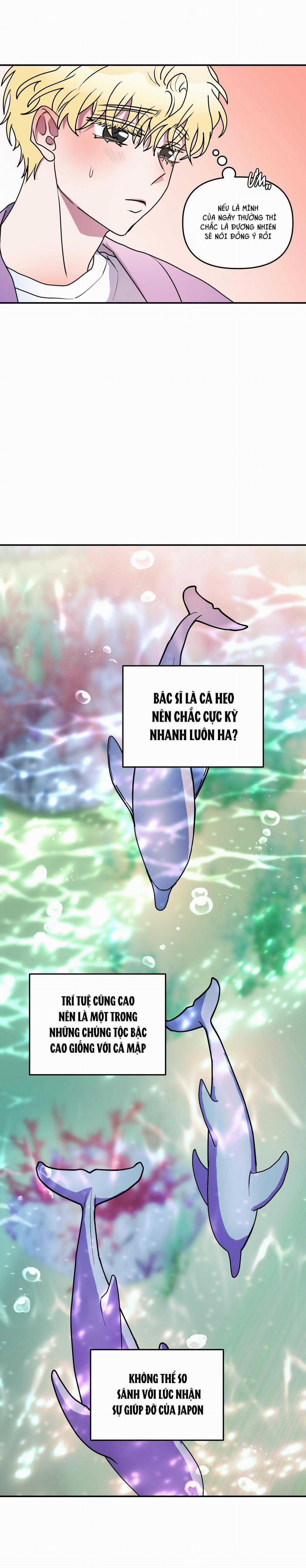 CÁ MẬP VÀ CÔ DÂU THỎ 47 trang 31