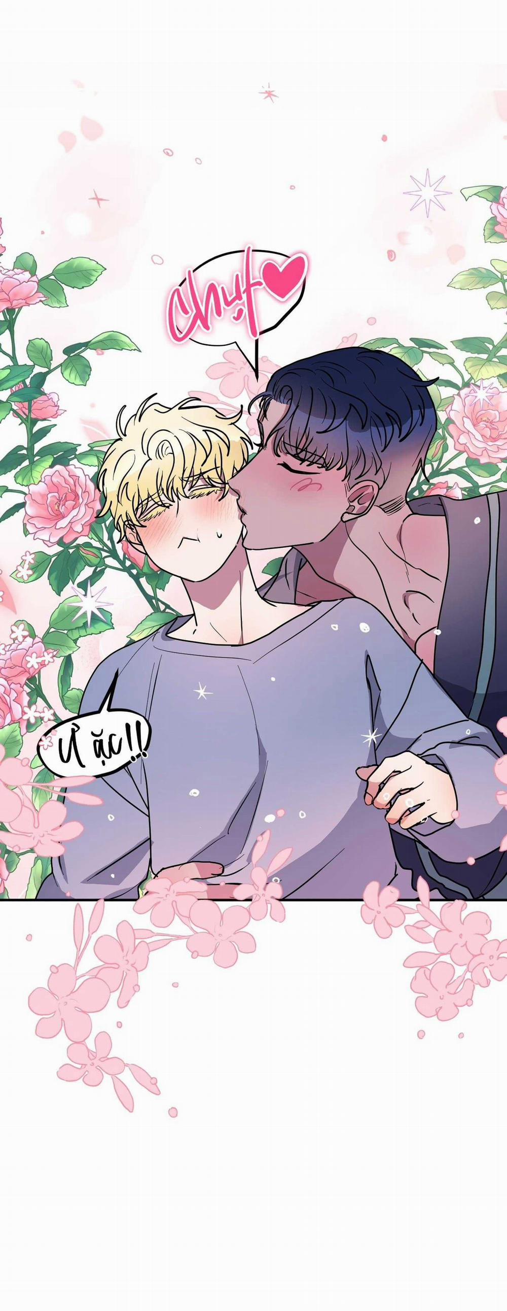 CÁ MẬP VÀ CÔ DÂU THỎ 48 trang 9