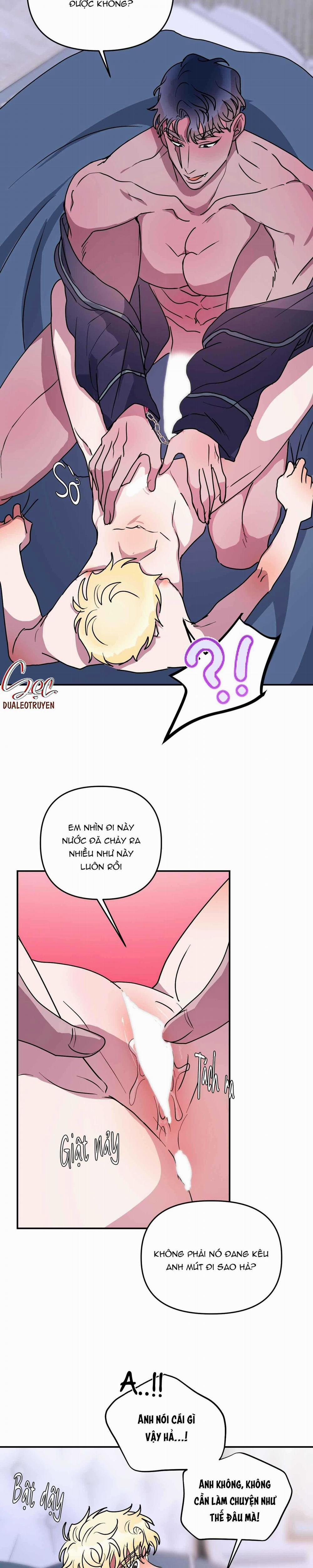 CÁ MẬP VÀ CÔ DÂU THỎ 49 trang 11