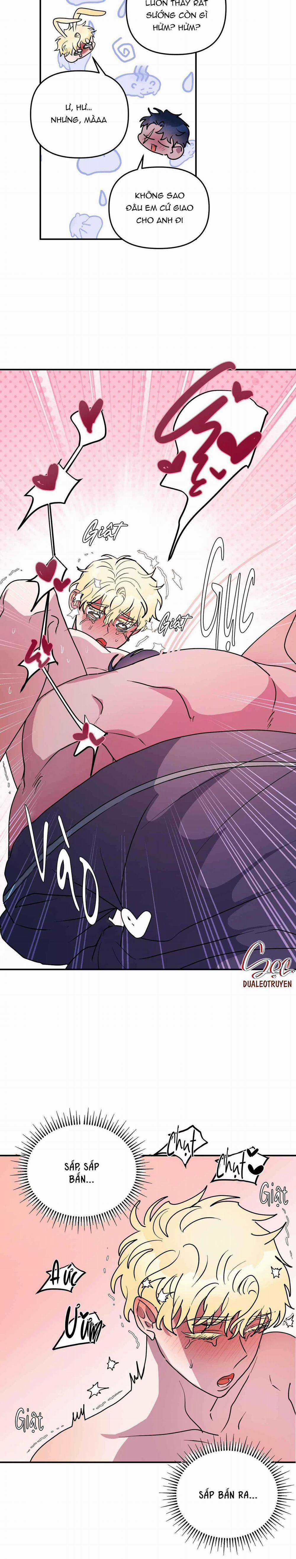 CÁ MẬP VÀ CÔ DÂU THỎ 49 trang 17