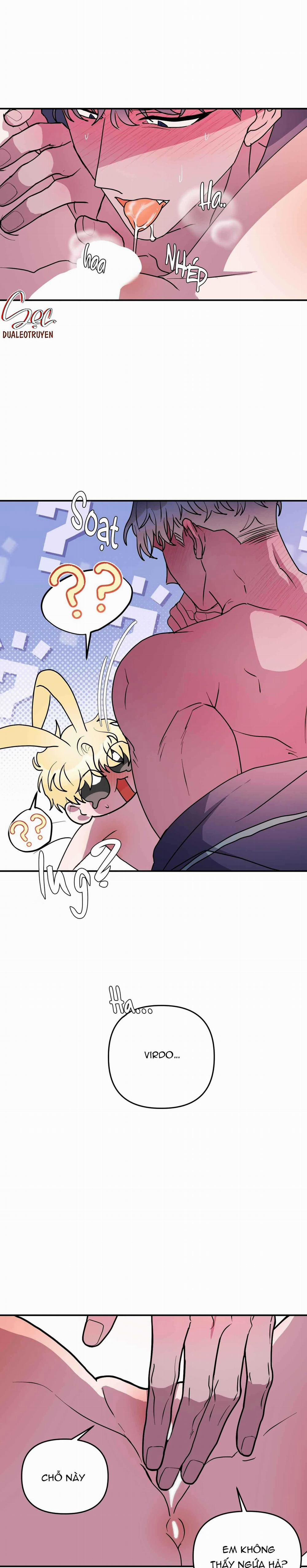 CÁ MẬP VÀ CÔ DÂU THỎ 49 trang 18