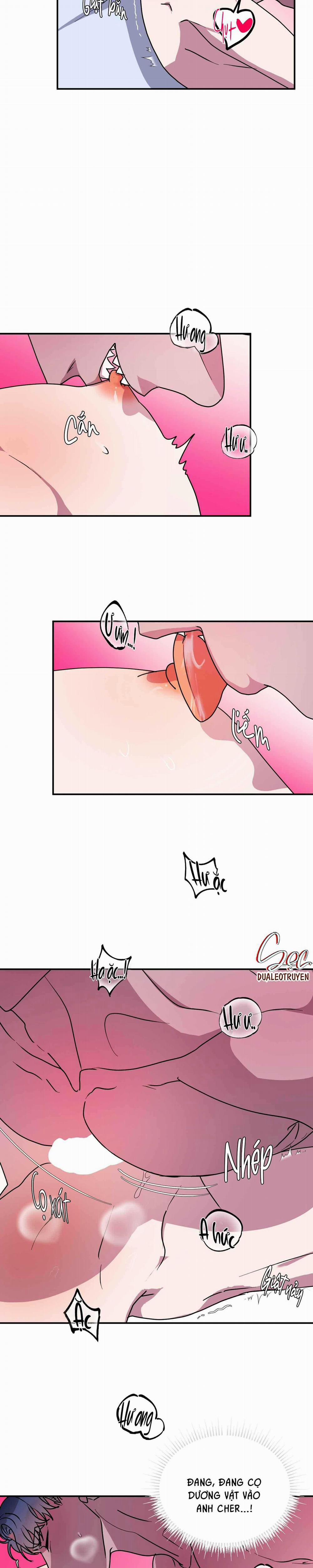 CÁ MẬP VÀ CÔ DÂU THỎ 49 trang 8