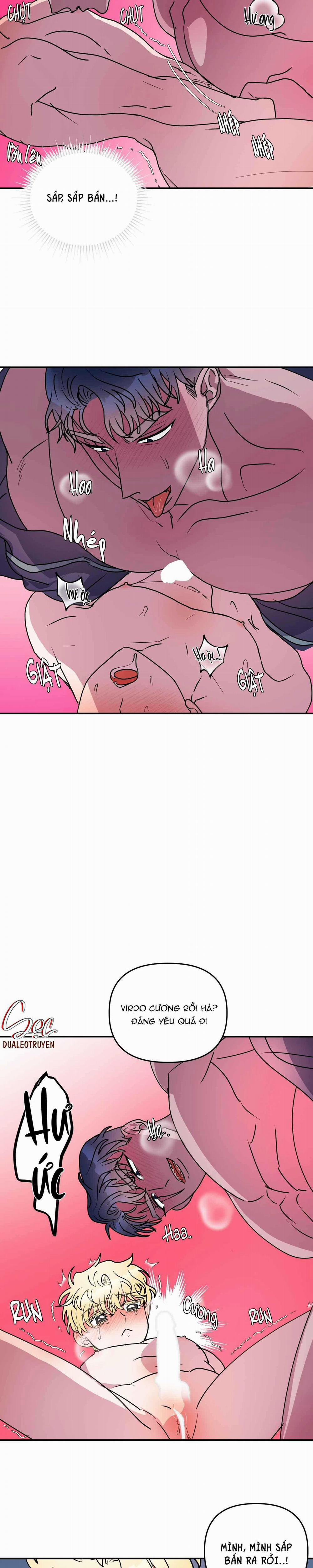 CÁ MẬP VÀ CÔ DÂU THỎ 49 trang 9