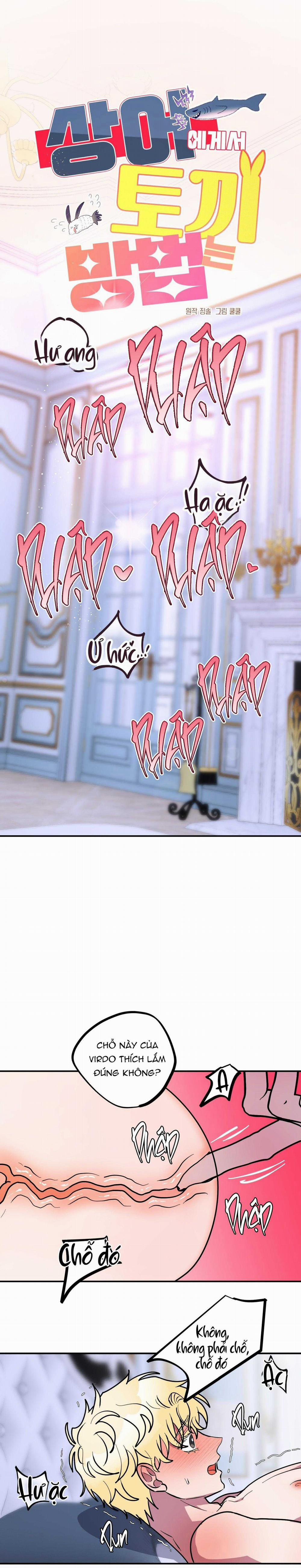 CÁ MẬP VÀ CÔ DÂU THỎ 50 trang 1