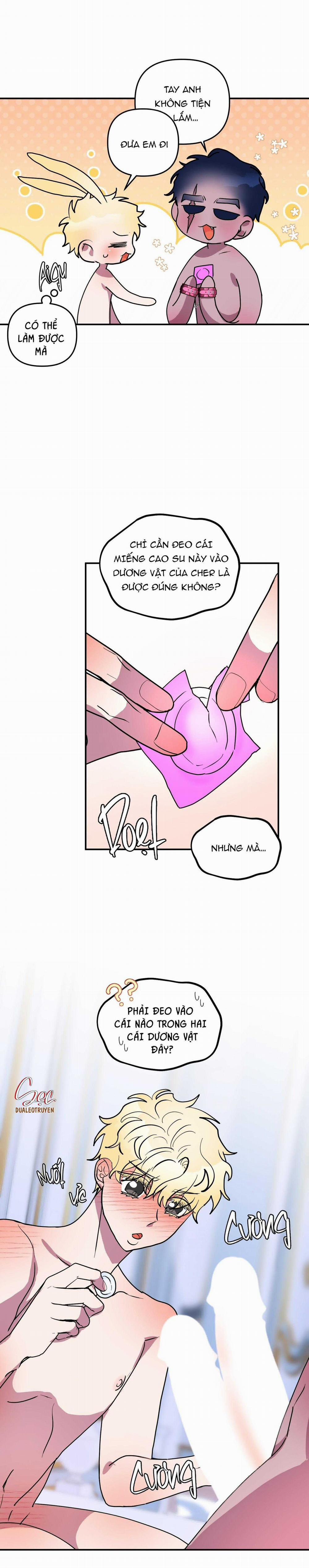 CÁ MẬP VÀ CÔ DÂU THỎ 50 trang 12