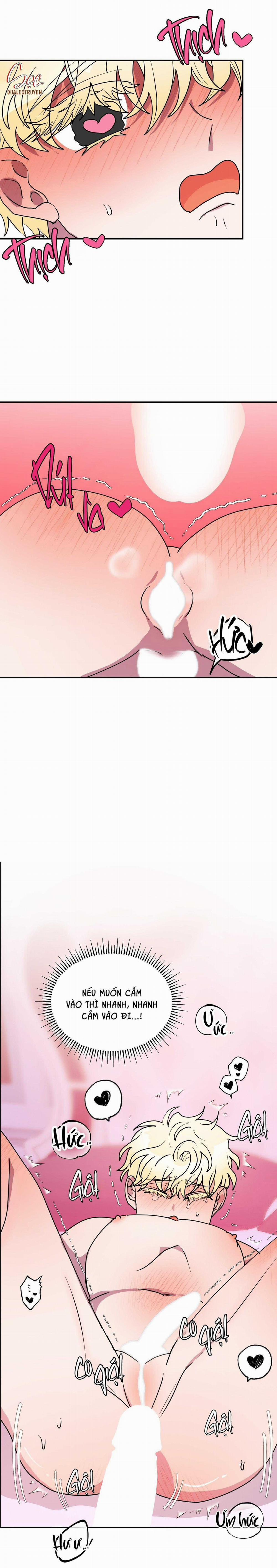 CÁ MẬP VÀ CÔ DÂU THỎ 50 trang 16