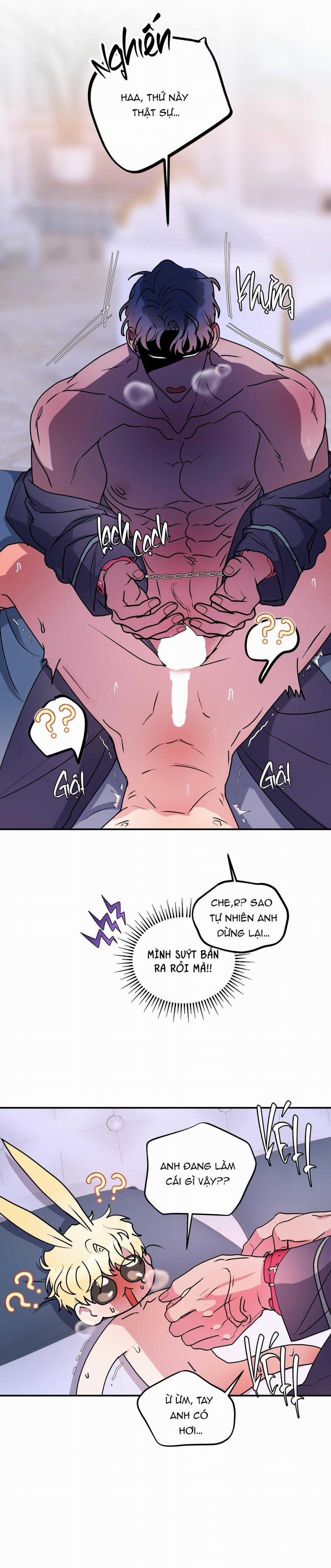 CÁ MẬP VÀ CÔ DÂU THỎ 50 trang 21