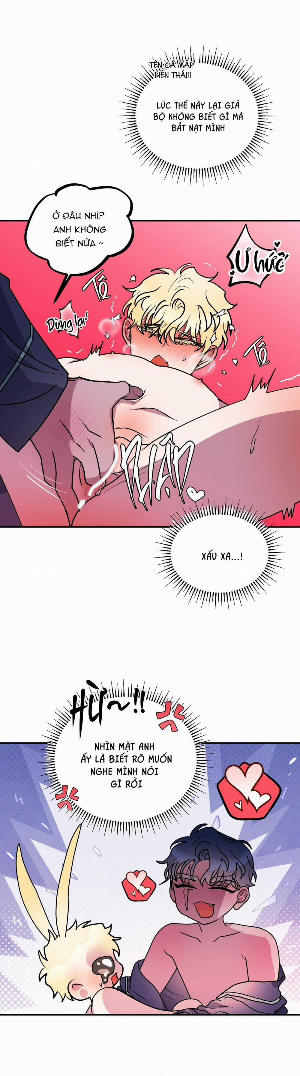 CÁ MẬP VÀ CÔ DÂU THỎ 50 trang 3