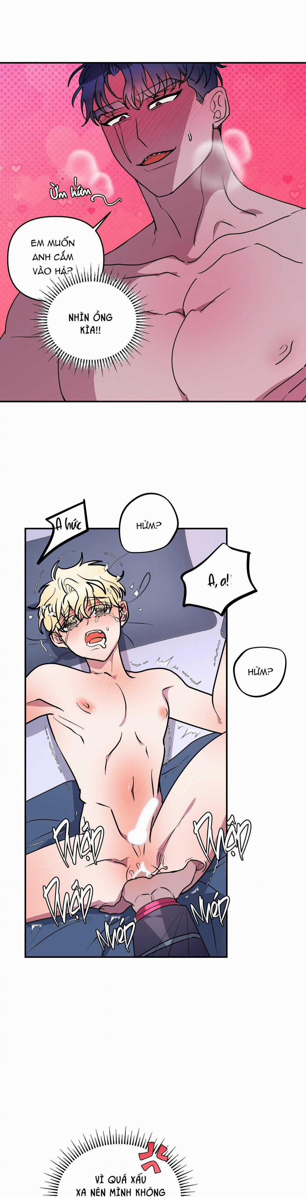 CÁ MẬP VÀ CÔ DÂU THỎ 50 trang 4