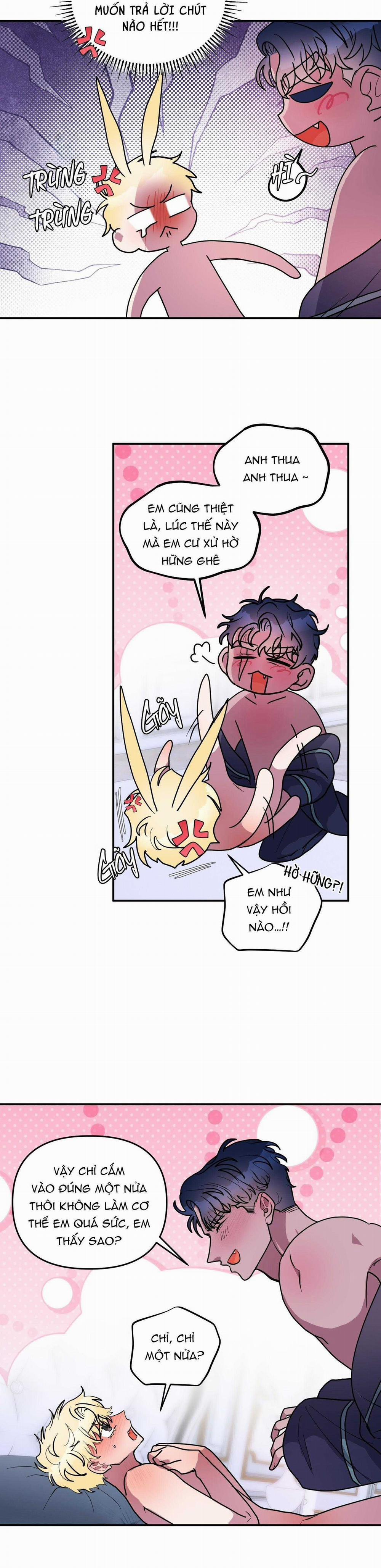 CÁ MẬP VÀ CÔ DÂU THỎ 50 trang 5