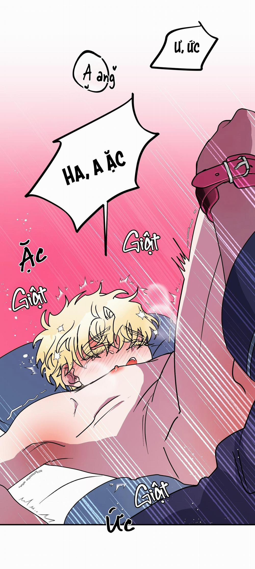 CÁ MẬP VÀ CÔ DÂU THỎ 51 trang 1