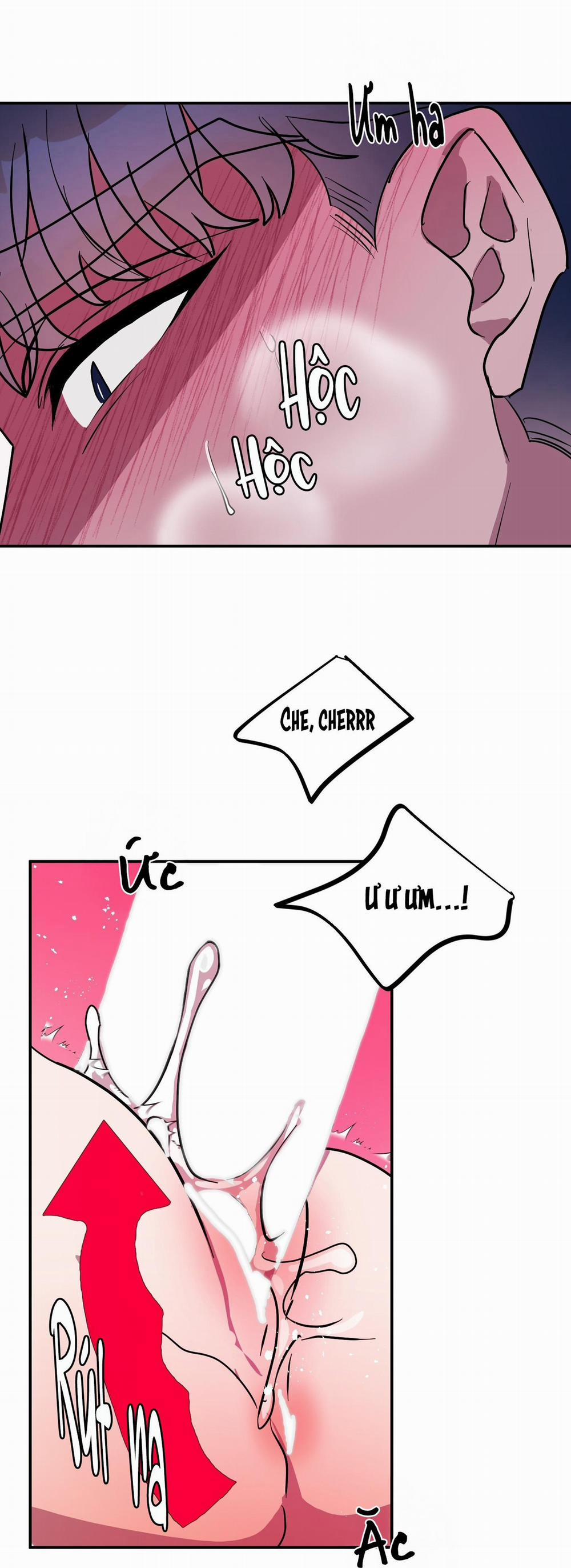 CÁ MẬP VÀ CÔ DÂU THỎ 51 trang 2