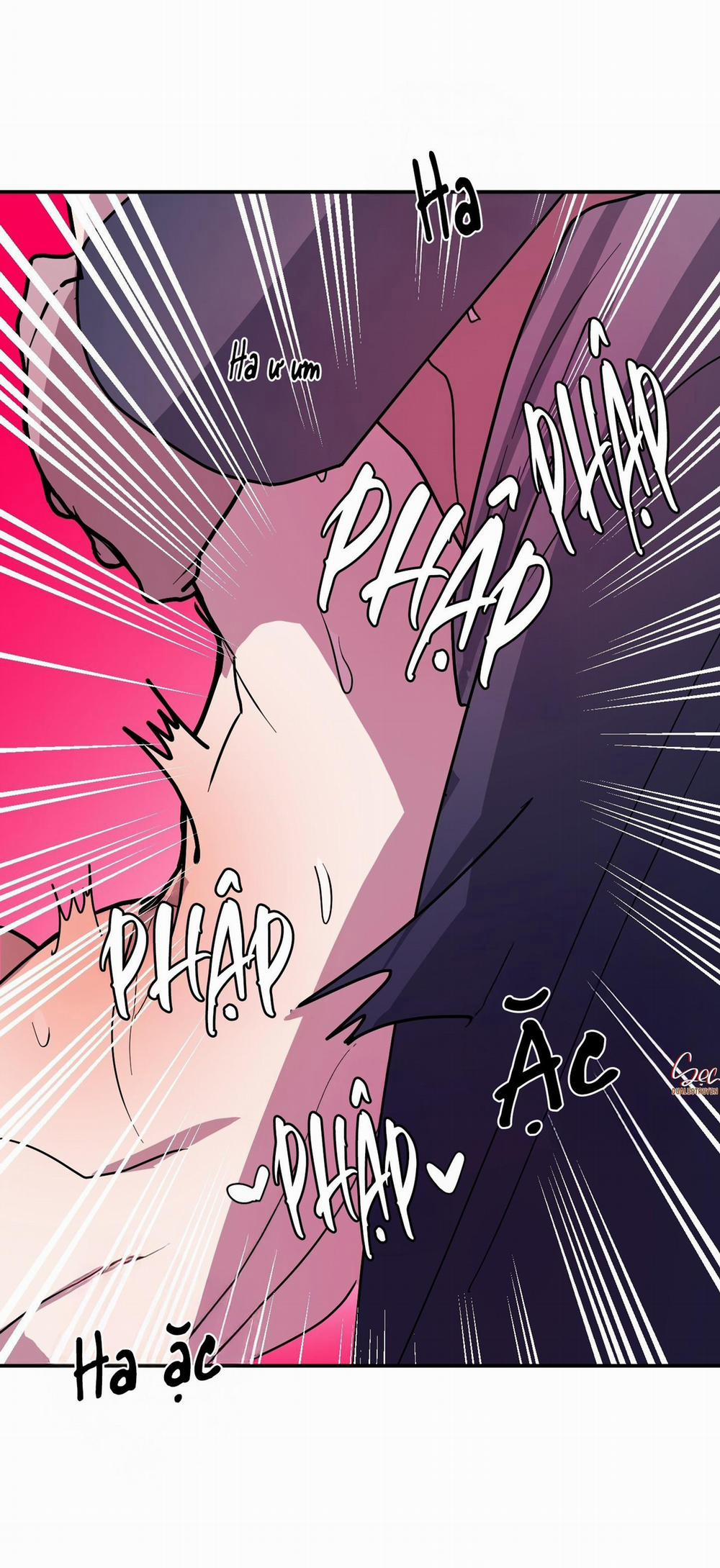 CÁ MẬP VÀ CÔ DÂU THỎ 51 trang 6