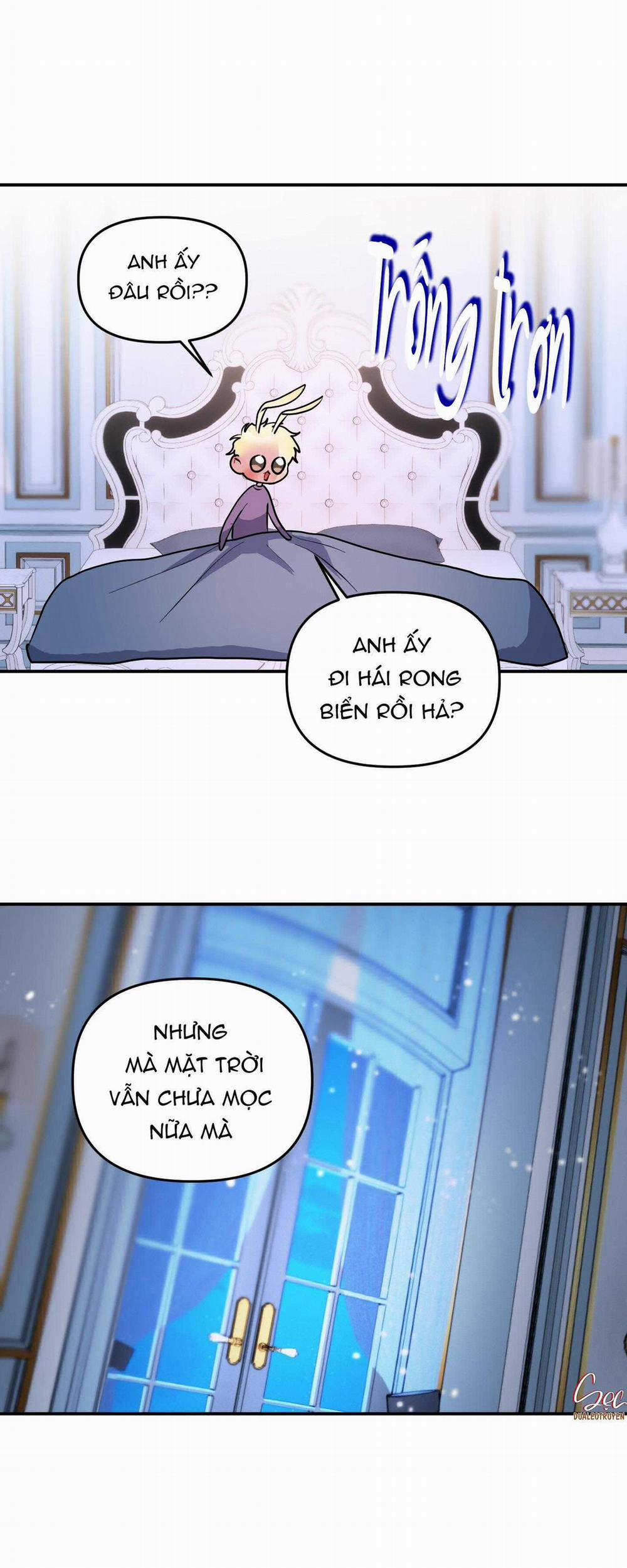 CÁ MẬP VÀ CÔ DÂU THỎ 52 trang 2