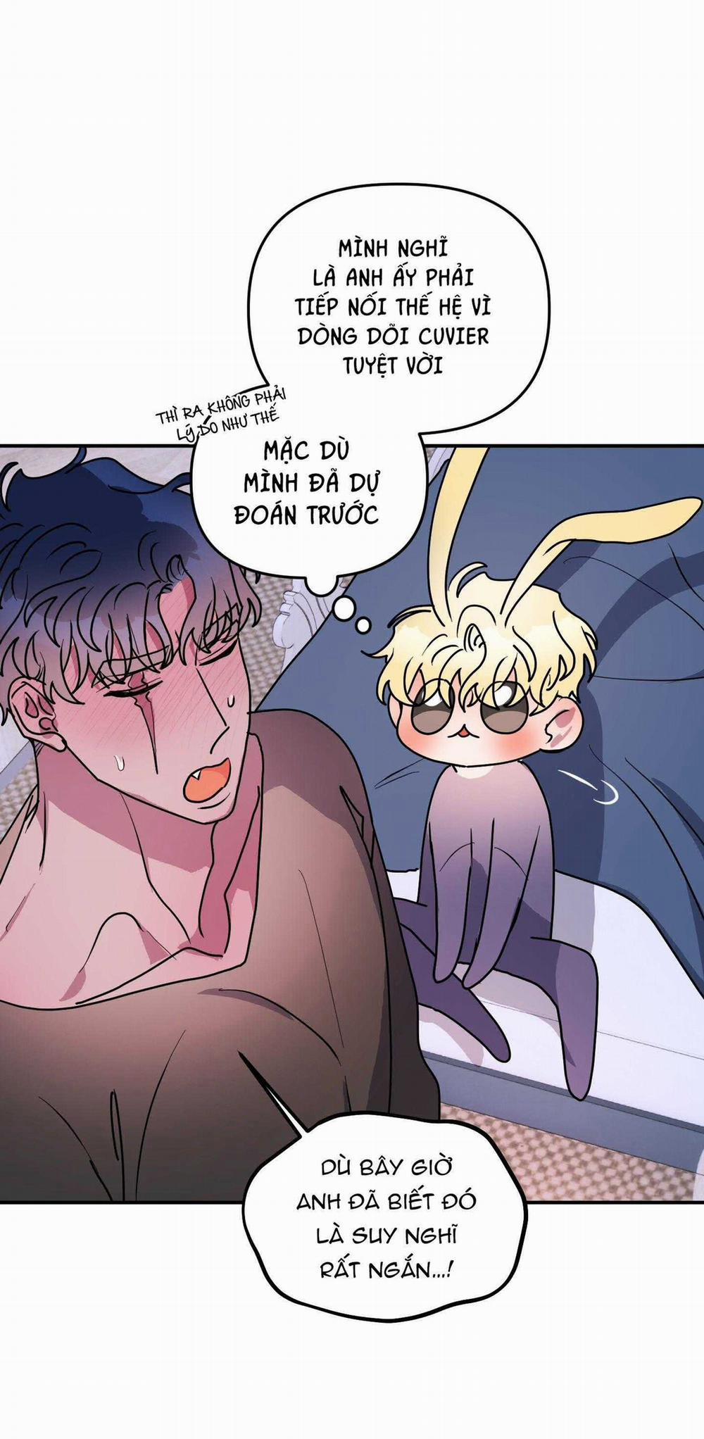 CÁ MẬP VÀ CÔ DÂU THỎ 52 trang 23