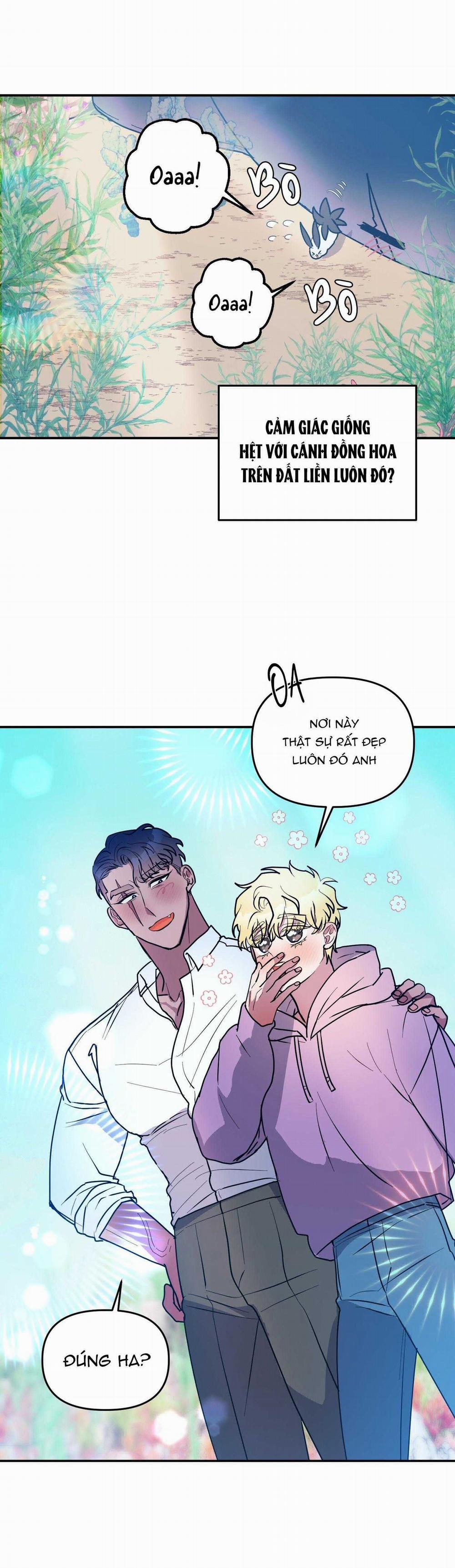 CÁ MẬP VÀ CÔ DÂU THỎ 53 trang 31