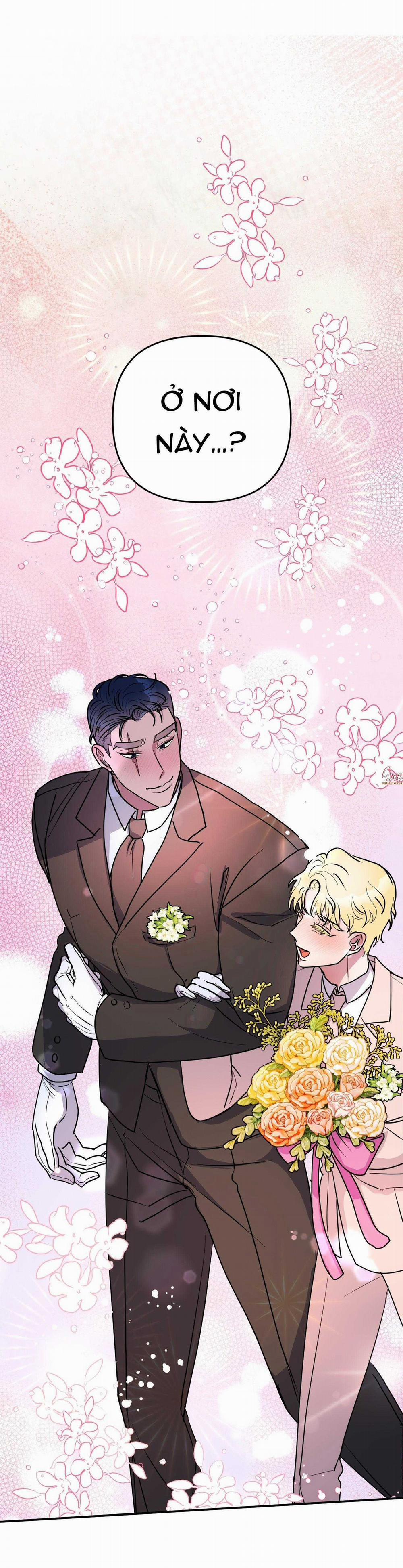 CÁ MẬP VÀ CÔ DÂU THỎ 53 trang 34