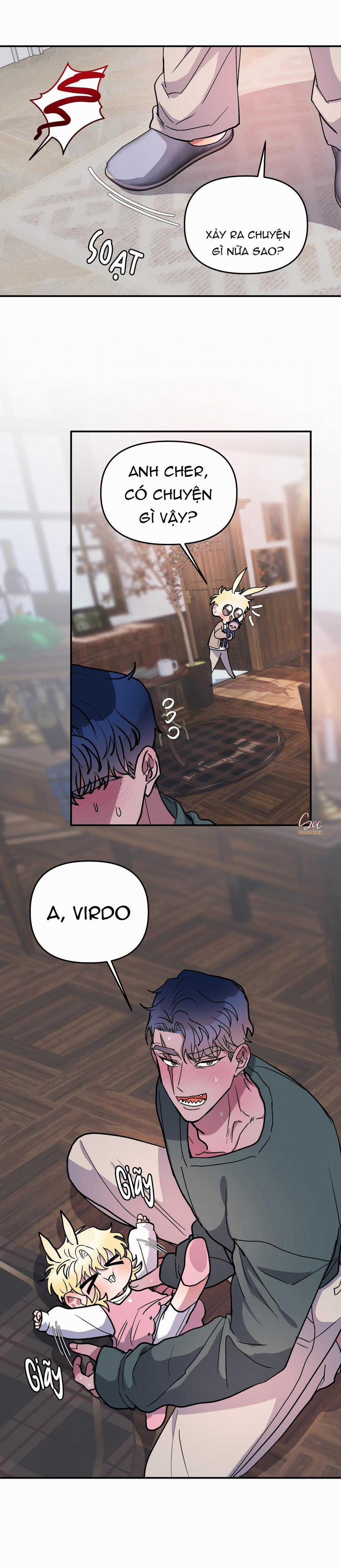 CÁ MẬP VÀ CÔ DÂU THỎ 54 trang 13