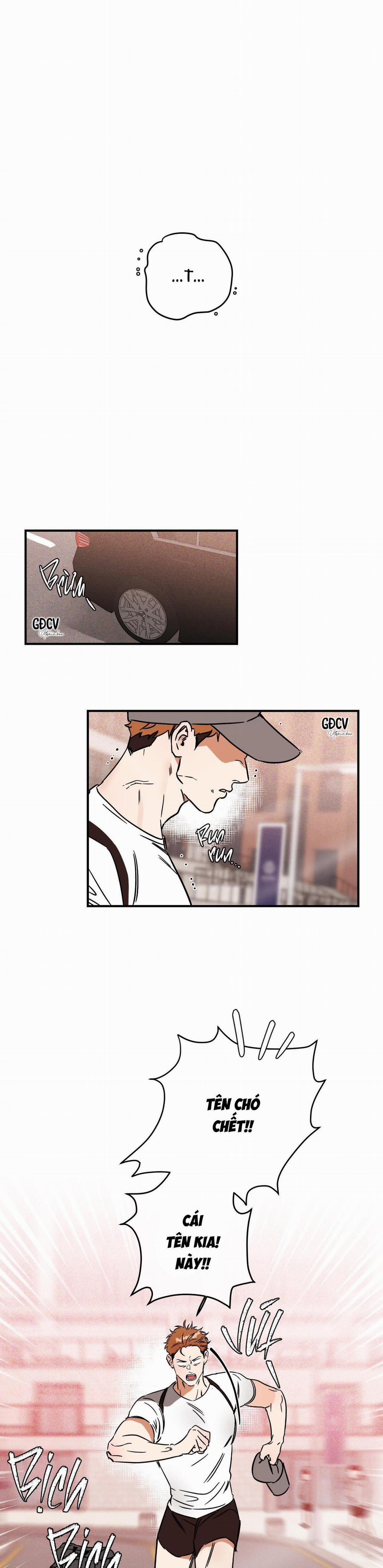 Cá Minh Thái Khô Quắt Rồi! 16 trang 2