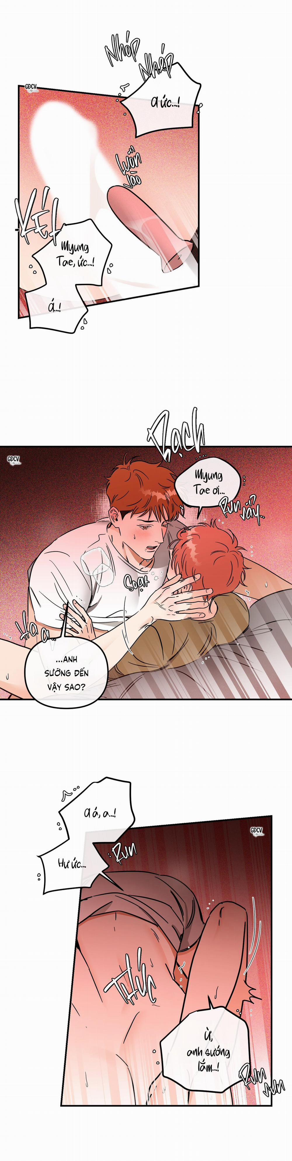 Cá Minh Thái Khô Quắt Rồi! 30 H+ trang 5