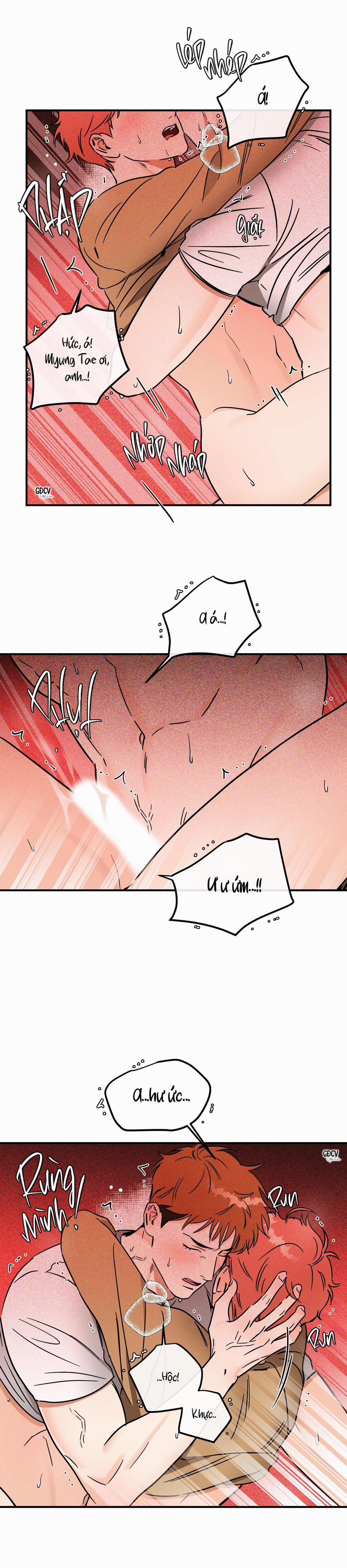 Cá Minh Thái Khô Quắt Rồi! 30 trang 8