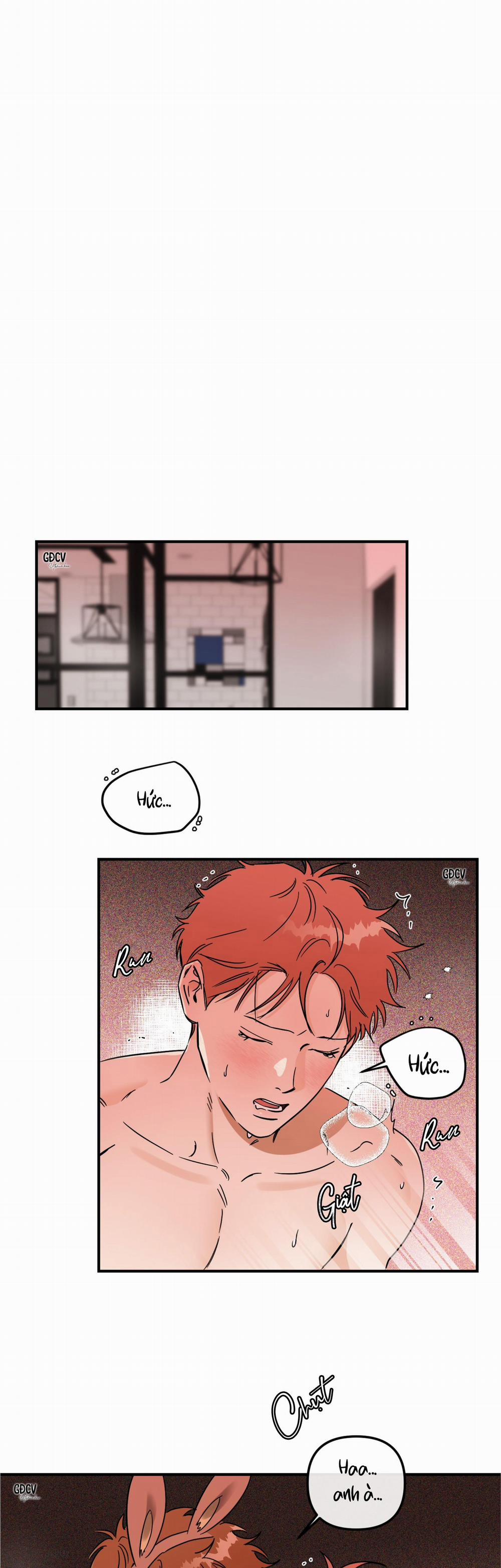 Cá Minh Thái Khô Quắt Rồi! 33 0 trang 0