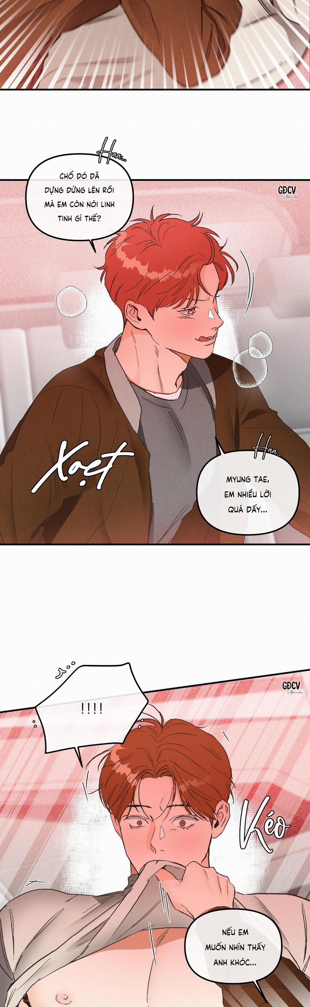 Cá Minh Thái Khô Quắt Rồi! 36 0 trang 13