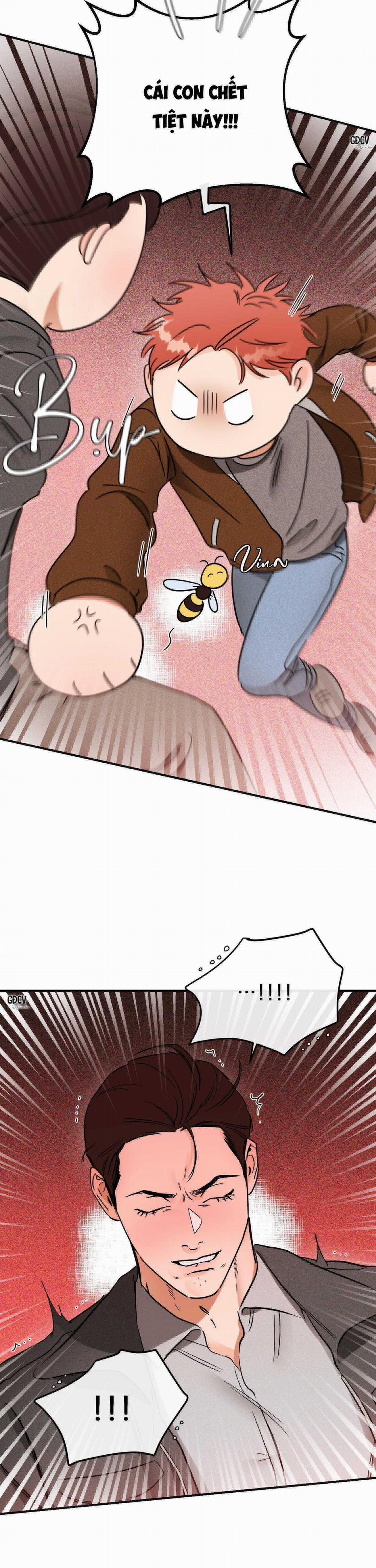 Cá Minh Thái Khô Quắt Rồi! 37 trang 21