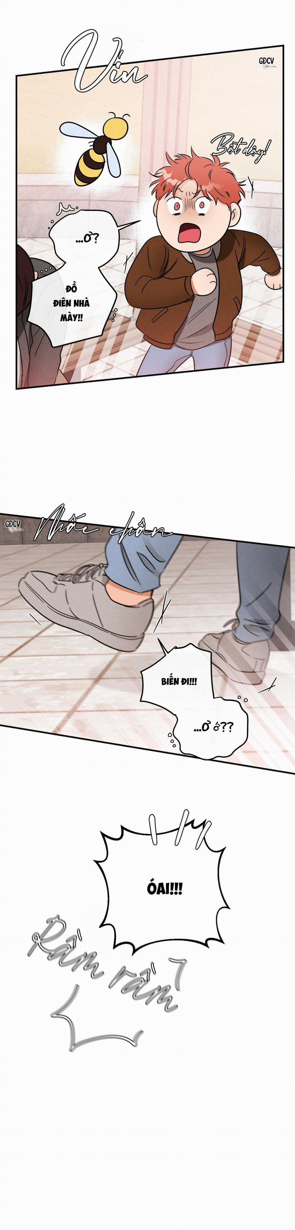 Cá Minh Thái Khô Quắt Rồi! 37 trang 22