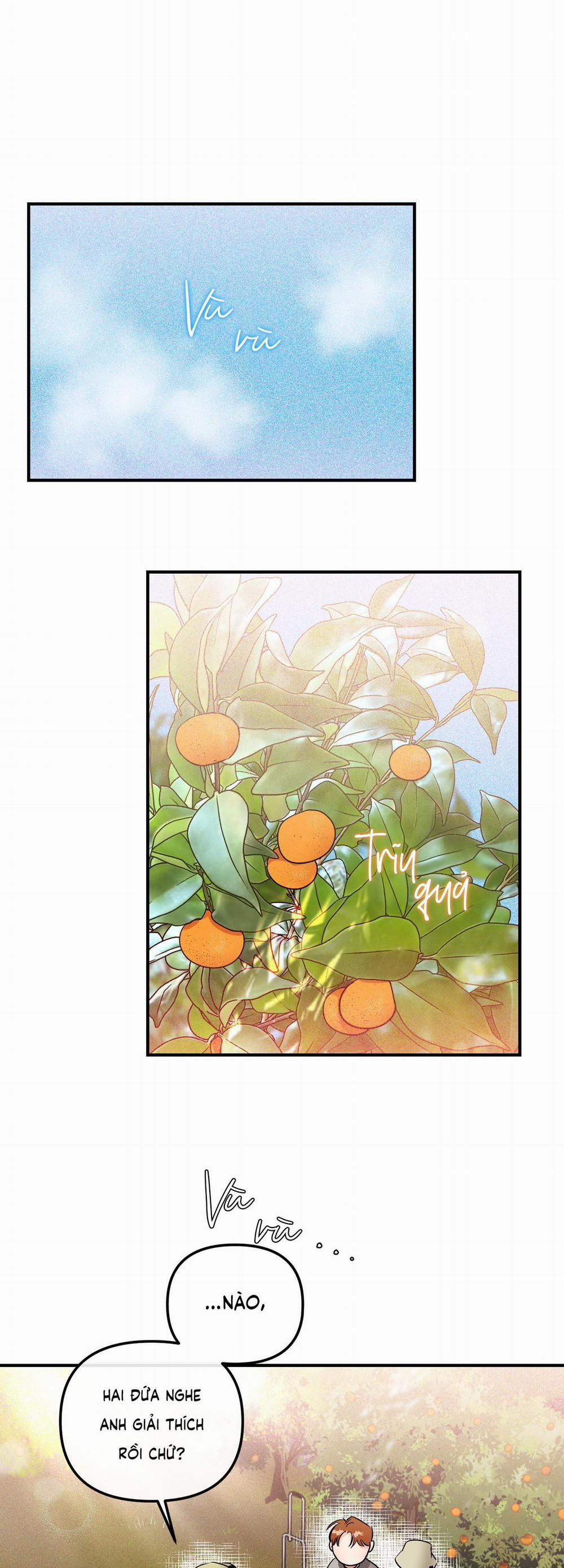 Cá Minh Thái Khô Quắt Rồi! 39 trang 15