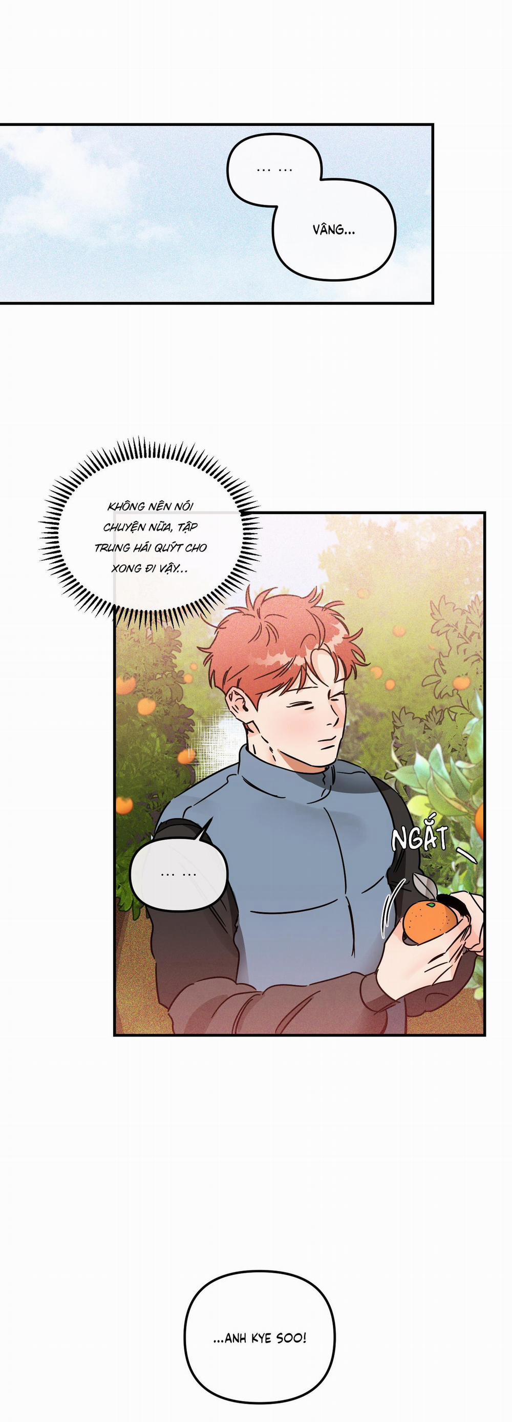 Cá Minh Thái Khô Quắt Rồi! 39 trang 19