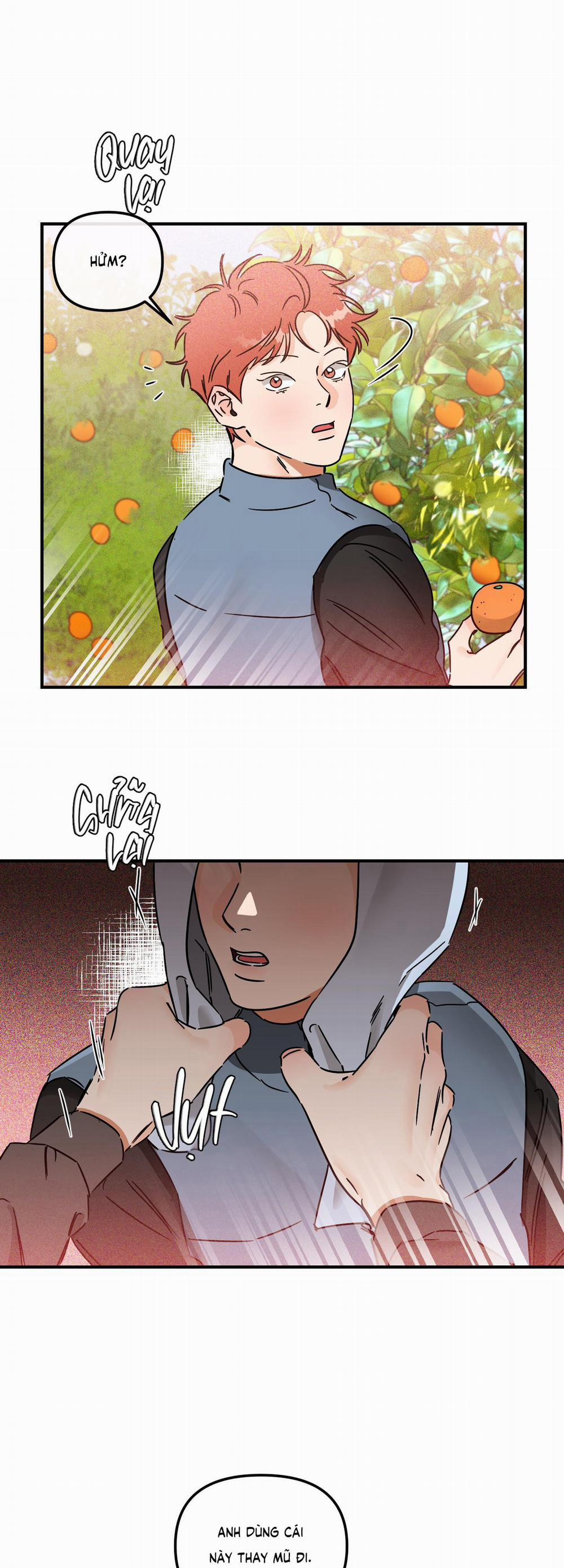 Cá Minh Thái Khô Quắt Rồi! 39 trang 20