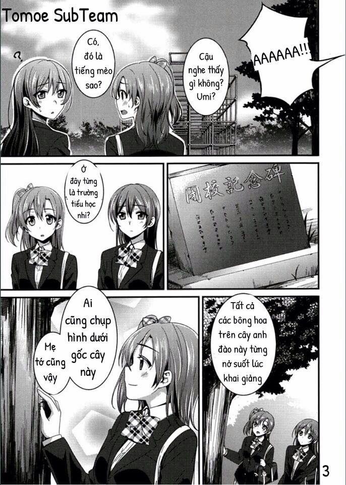 Các Dự Án Thần Tượng Trường 13 trang 3