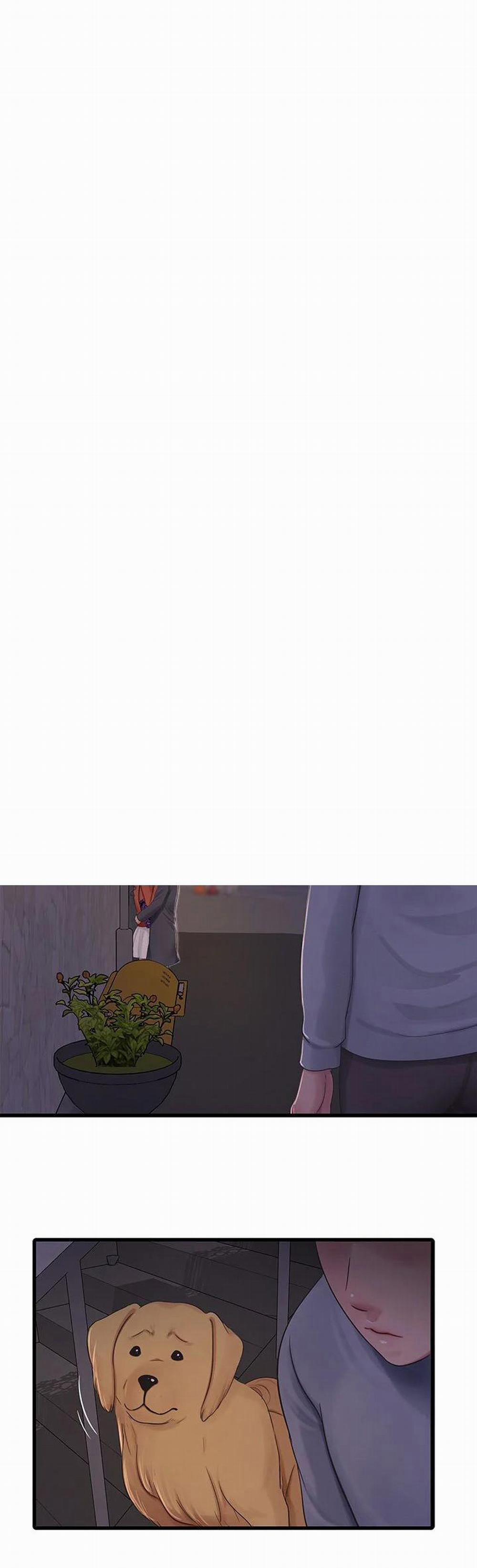 Các em trinh nữ ở rể 95 trang 0