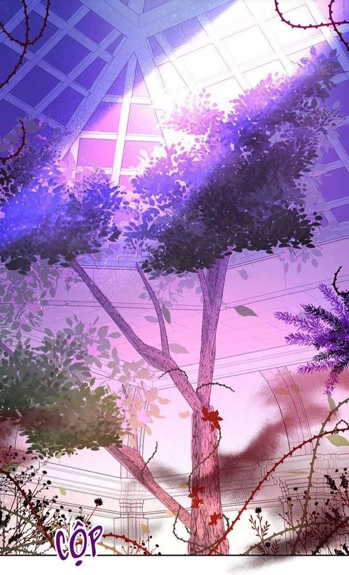 Cách Để Cứu Rỗi Anh Trai Của Nữ Chính 5 trang 1