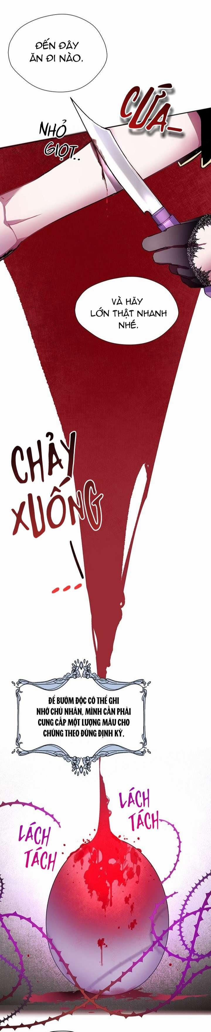 Cách Để Cứu Rỗi Anh Trai Của Nữ Chính 5 trang 5